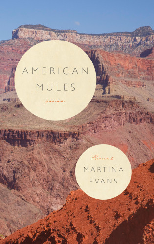 Martina Evans: American Mules