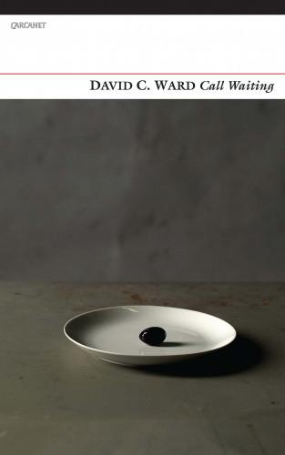David C. Ward: Call Waiting