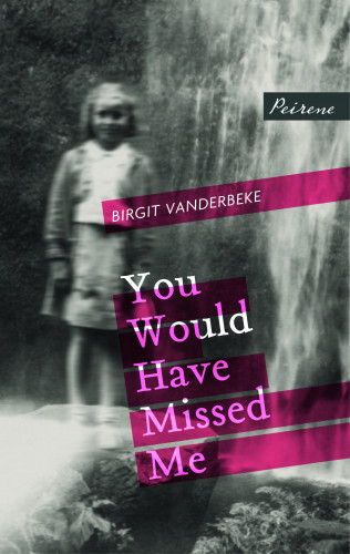 Birgit Vanderbeke: You Would Have Missed Me
