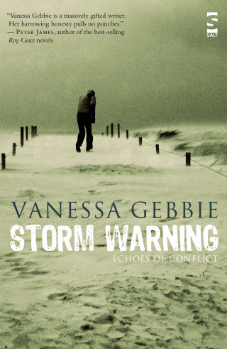 Vanessa Gebbie: Storm Warning