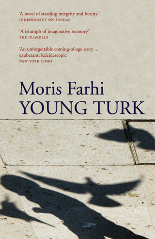 Moris Farhi: Young Turk