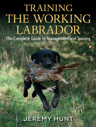 Jeremy Hunt: Training The Working Labrador