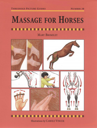 MARY BROMLEY: MASSAGE FOR HORSES