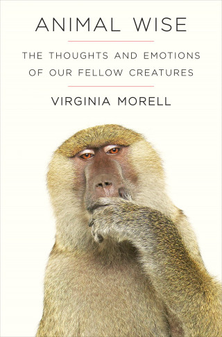Virginia Morell: Animal Wise