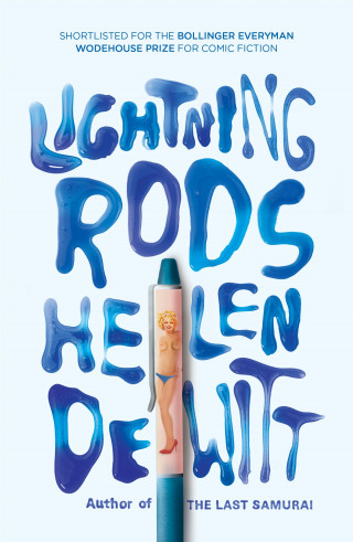 Helen DeWitt: Lightning Rods