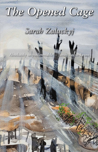 Sarah Zaluckyj: The Opened Cage