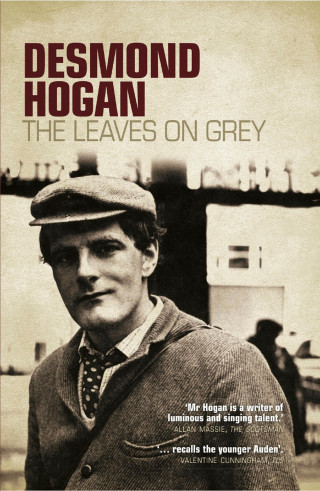 Desmond Hogan: The Leaves on Grey
