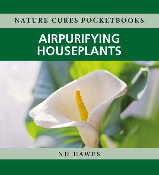 Nat Hawes: Air-purifying Houseplants