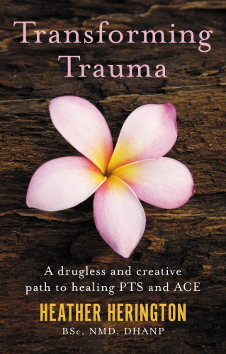 Heather Herington: Transforming Trauma