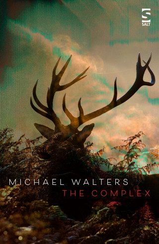 Michael Walters: The Complex
