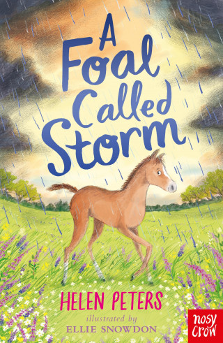 Helen Peters: A Foal Called Storm