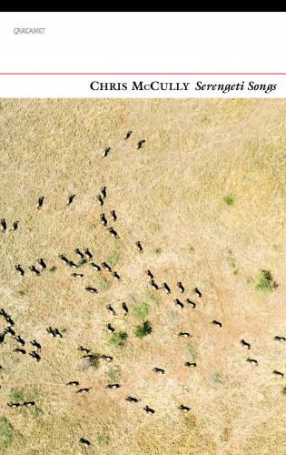 Chris McCully: Serengeti Songs