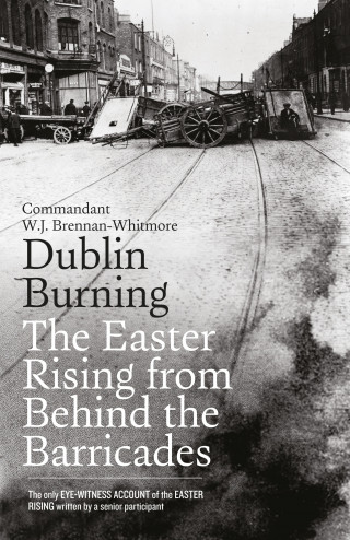 W.J. Brennan-Whitmore: Dublin Burning: The Easter Rising From Behind the Barricades