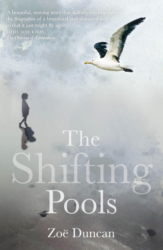 Duncan Zoe: The Shifting Pools
