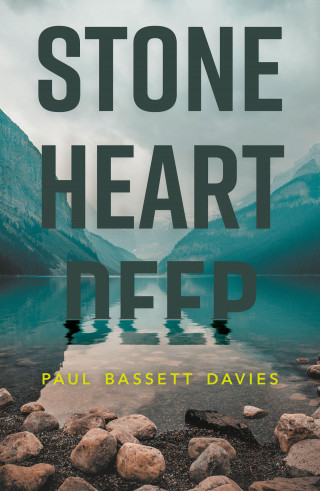 Paul Bassett Davies: Stone Heart Deep