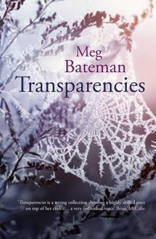 Meg Bateman: Transparencies