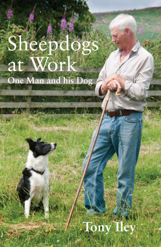 Tony Iley: Sheepdogs at Work
