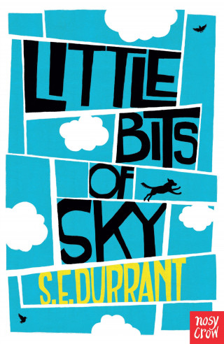 S. E. Durrant: Little Bits of Sky