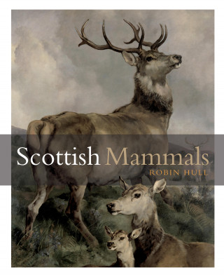 Robin Hull: Scottish Mammals