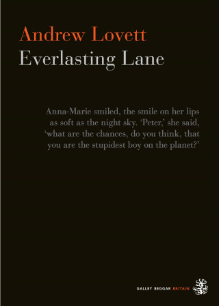 Andrew Lovett: Everlasting Lane