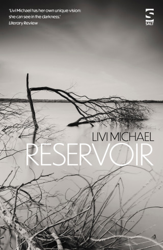 Livi Michael: Reservoir
