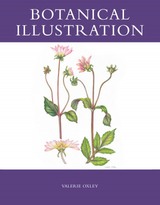 Valerie Oxley: Botanical Illustration