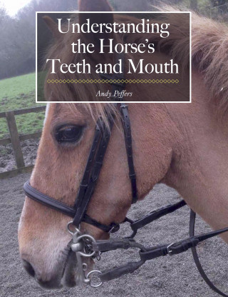 Andy Peffers: Understanding the Horse's Teeth and Mouth