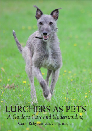 Carol Baby: Lurchers as Pets