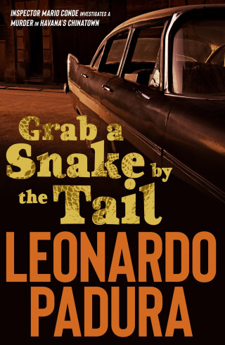 Padura Leonardo: Grab a Snake by the Tail