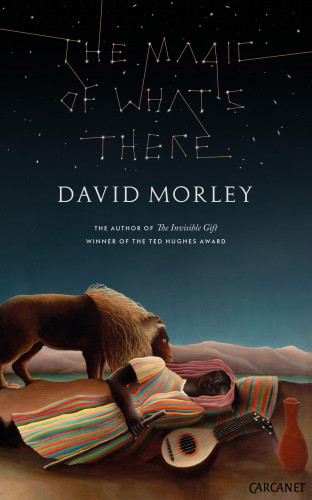 David Morley: The Magic of What's There
