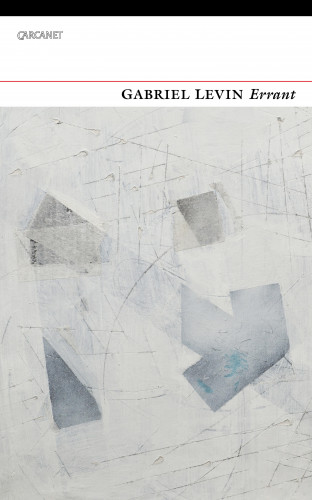 Gabriel Levin: Errant