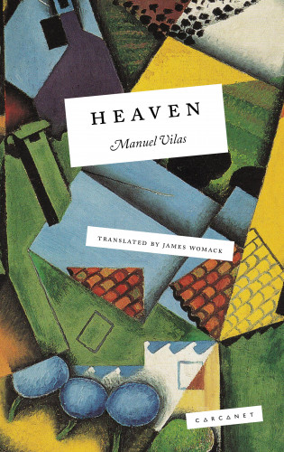 Manuel Vilas: Heaven