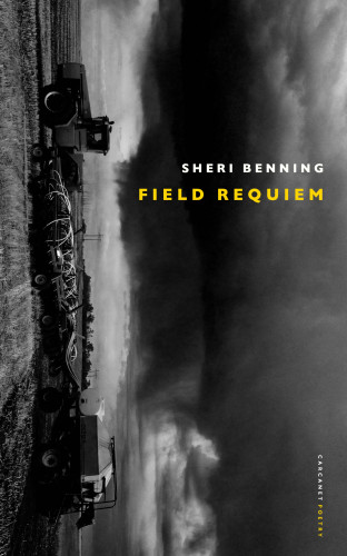 Sheri Benning: Field Requiem