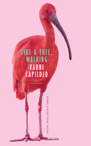 Vahni Capildeo: Like a Tree, Walking