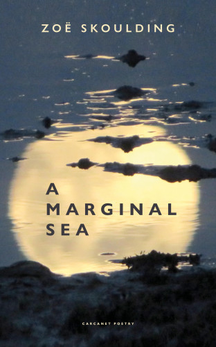 Zoë Skoulding: A Marginal Sea