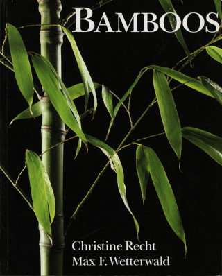 Christine Recht, Max Felix Wetterwald: Bamboos