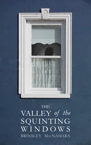 Brinsley McNamara: The Valley of the Squinting Windows