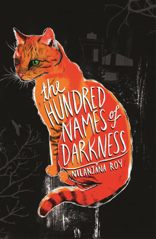 Nilanjana Roy: The Hundred Names of Darkness