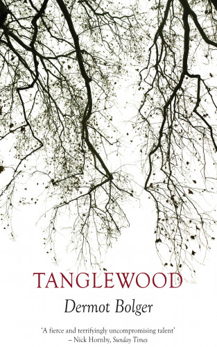 Dermot Bolger: Tanglewood