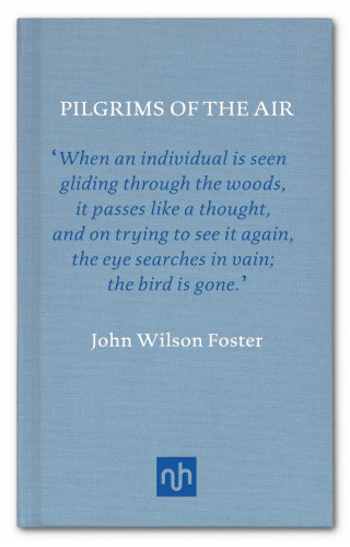 John Wilson Foster: Pilgrims of the Air