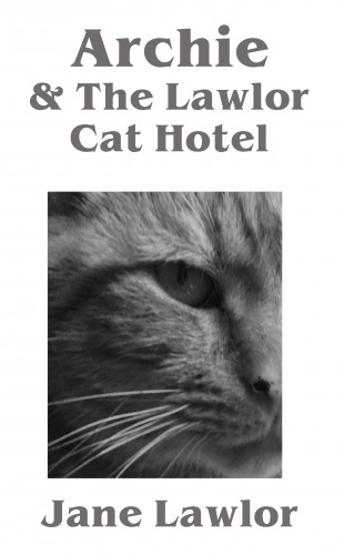 Jane Lawlor: Archie & the Lawlor Cat Hotel
