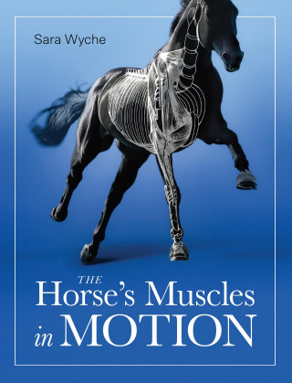 Sara Wyche: Horse's Muscles in Motion