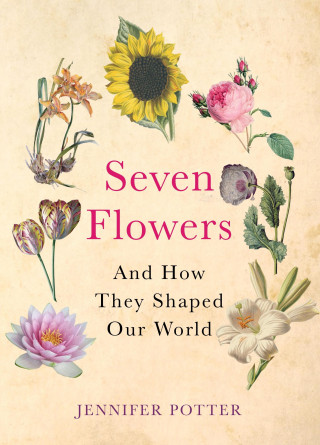 Jennifer Potter: Seven Flowers