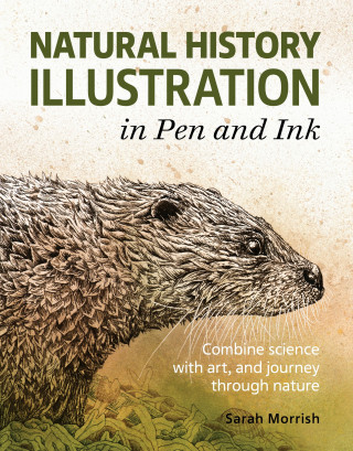 Sarah Morrish: Natural History Illustration in Pen and Ink
