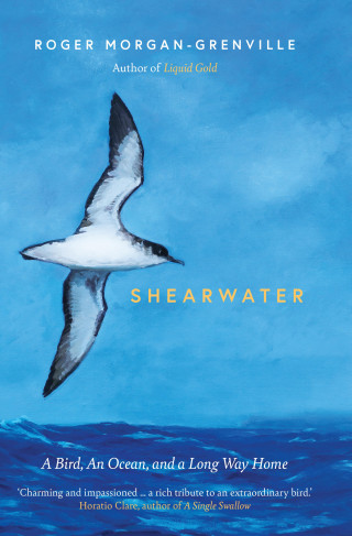 Roger Morgan-Grenville: Shearwater