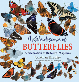 Jonathan Bradley: A Kaleidoscope of Butterflies
