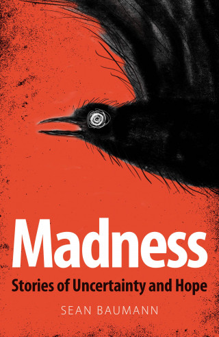 Sean Baumann: Madness