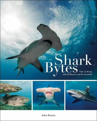 John Bantin: Shark Bytes