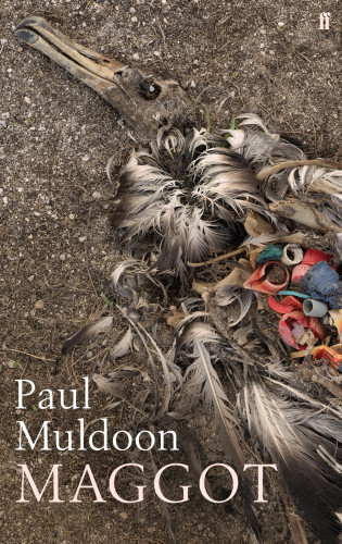 Paul Muldoon: Maggot