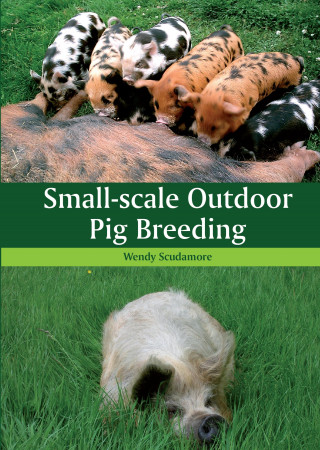 Wendy Scudamore: Small-scale Outdoor Pig Breeding